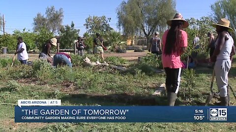 Community garden works to make sure everyone has food