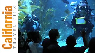 California Science Center | Los Angeles Travel Guide | California Travel Tips