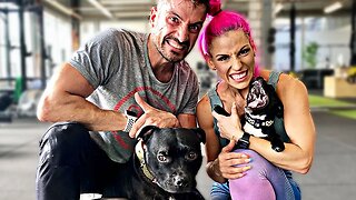 BULL TERRIER - 30 Minute Kettlebell Workout To Build Muscle & Burn Fat