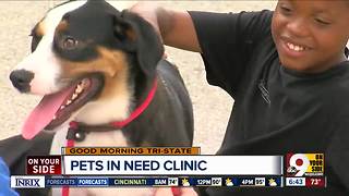 Second annual Ice Cream Social to support Pets In Need