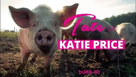 Tate on Katie Price is a Dumb Ho