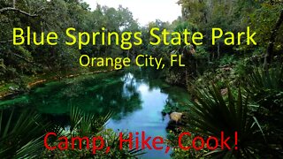 Blue Springs State Park - Camping, Cooking, and Manatees at the Spring