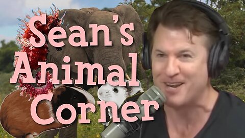 Sean's Animal Corner (Episode 239)