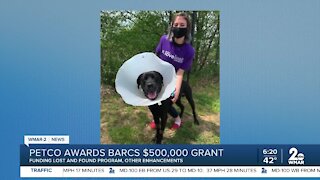 PETCO AWARDS BARCS A $500,000 GRANT!