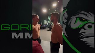 Calvin Kattar vs Arnold Allen: UFC Vegas 63 Face-off