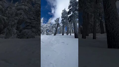 Winter Wonderland #snowboarding #splitboarding #snow #jeeplife #winter #wintercamping #jeep