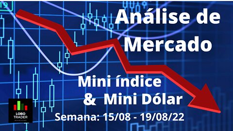 PROJEÇÃO DE MERCADO MINI ÍNDICE E MINI DÓLAR - Semana de 15/08 até 19/08.