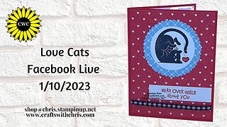 Love Cats Super Cute Easy Card!