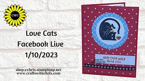 Love Cats Super Cute Easy Card!