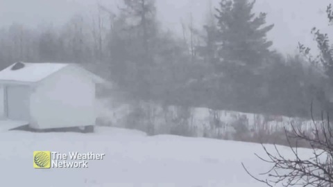 Blustering snow in a rural backyard covered in snow