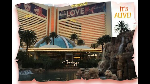 Las Vegas 🔥THE MIRAGE VOLCANO🔥 Up Close and Spectacular!