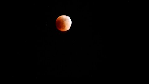 Lunar Eclipse 5/15/2022 Giant Sequoia