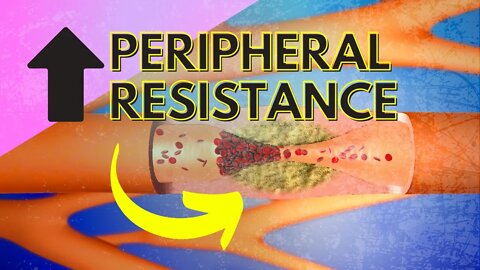 Regulating Peripheral Resistance - Part 1
