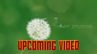UPCOMING VIDEO -SNEAK PEEK