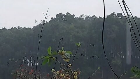 DOMINGO DE CHUVA EM VASSOURAS -RJ ,GRATIDÃO A TODOS !