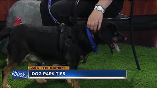 The do's and do not's of dog parks
