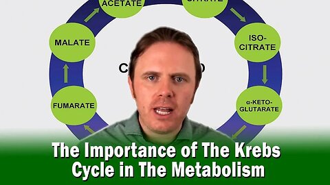 The Importance of The Krebs Cycle in The Metabolism