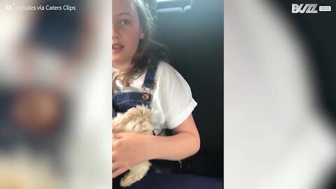 On lui offre un chiot et elle ne peut contenir ses larmes de joie