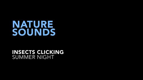 Nature Sounds - Insects clicking summer night