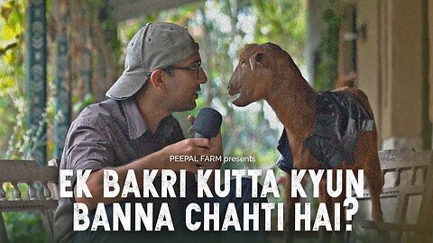 Ek bakri kutta kyun banna chahti hai - India’s First GOAT Activist - GULLY GOAT RAP