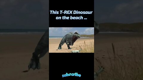 This T-REX Dinosaur on the beach ... #trex #dinosaur #sorts