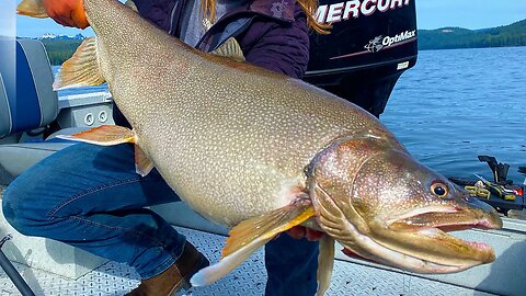 HUGE Trout Fishing. We Caught A FREAK! (NEW PB)