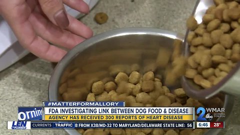 Dog diagnosed with heart disease after being fed grain-free diet