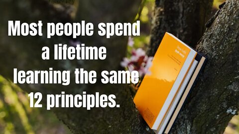 Most people spend a lifetime learning the same 12 principles.