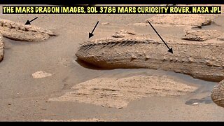 Mars Curiosity Rover Captures Strange Dragon Bones on Mars