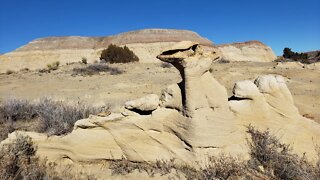 Evidence, Recent Plasma Apocalypse, Bisti Badlands, NM