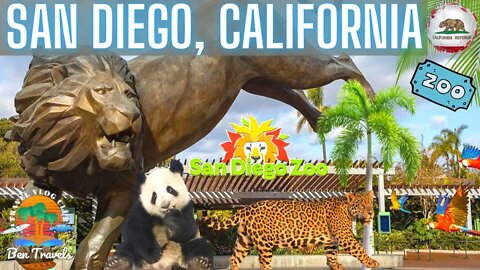 Visiting The San Diego Zoo In California | Travel Vlog