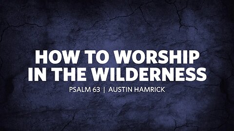 How To Worship In The Wilderness | Psalm 63 | Austin Hamrick