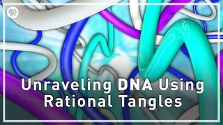 Unraveling DNA with Rational Tangles