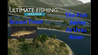 Ultimate Fishing Simulator: The Fish - Uvac River - Brown Trout - [00038]