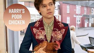 Fans disappointed with Harry Styles in new Gucci ad