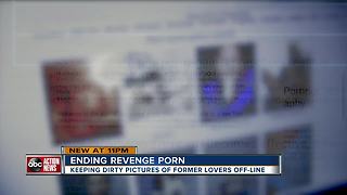 Florida's Revenge Porn Law, is it working? |WFTS Investigative Report