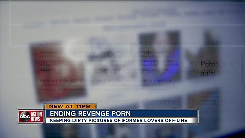 Florida's Revenge Porn Law, is it working? |WFTS Investigative Report