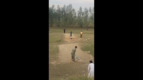 Funny cricket