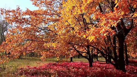 Peaceful Meditation - Relax Stress Relief Music Crisp Fall