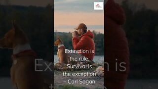 Extinction is the rule. Survival is the exception – Carl Sagan