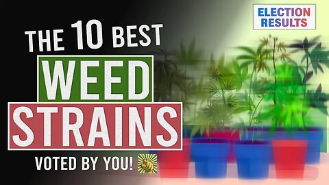 The 10 BEST WEED Strains Voted for by YOU!