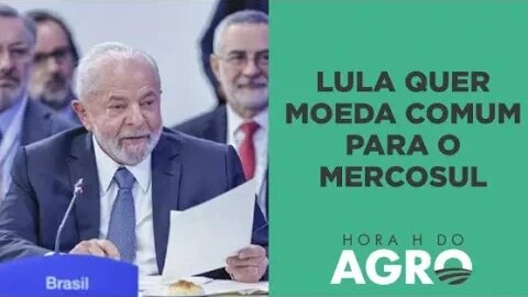 Yuan ou moeda comum do Mercosul? Saiba qual deve ser usado no comércio do agro I HORA H DO AGRO