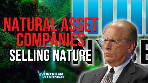 Natural Asset Companies: Selling Nature