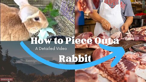 How to Cut Up a Rabbit | Sovereign Provisions Homestead