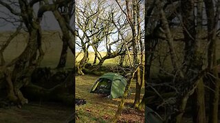 Spending time in the tent.wildcamping. timelapse. Dartmoor 25th March 2023