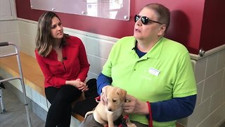 Blind puppy volunteer loves greeting visitors