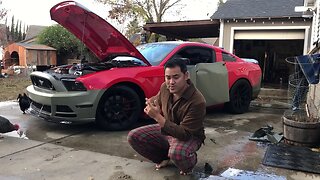 Here’s Why VVivid is The Worst Wrap When Its Cold! Craziest Mustang Wrap