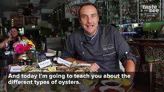 Your guide to ordering the right oyster