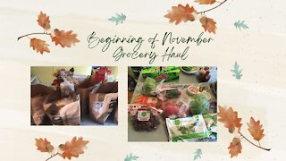 Beginning of November Grocery Haul