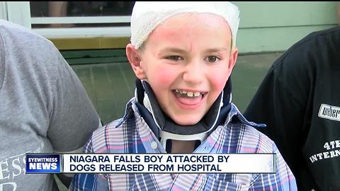 Young boy attacked by dogs released from the hospital